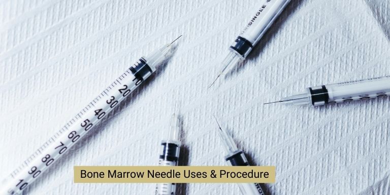 Bone Marrow Aspiration Needle in Nephrology: Uses, Procedure, and Clinical Importance