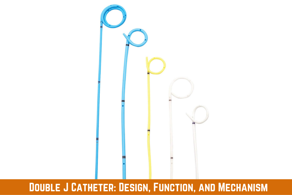 Double J Catheter - Definition, Design, and Working Mechanism