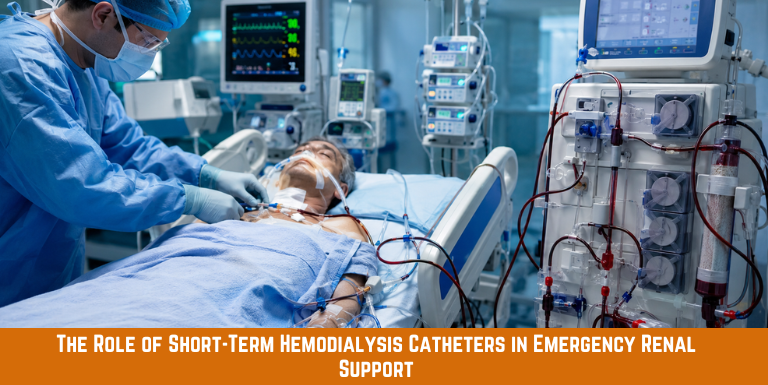 Short-Term Hemodialysis Catheters Emergency Renal Support