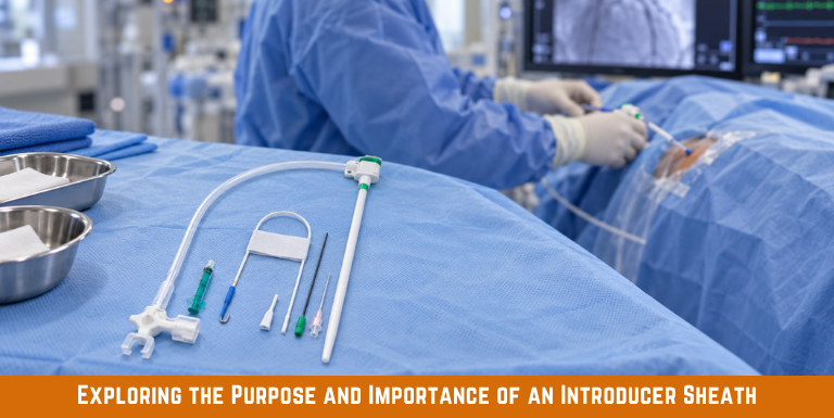 Exploring The Purpose and Importance of An Introducer Sheath